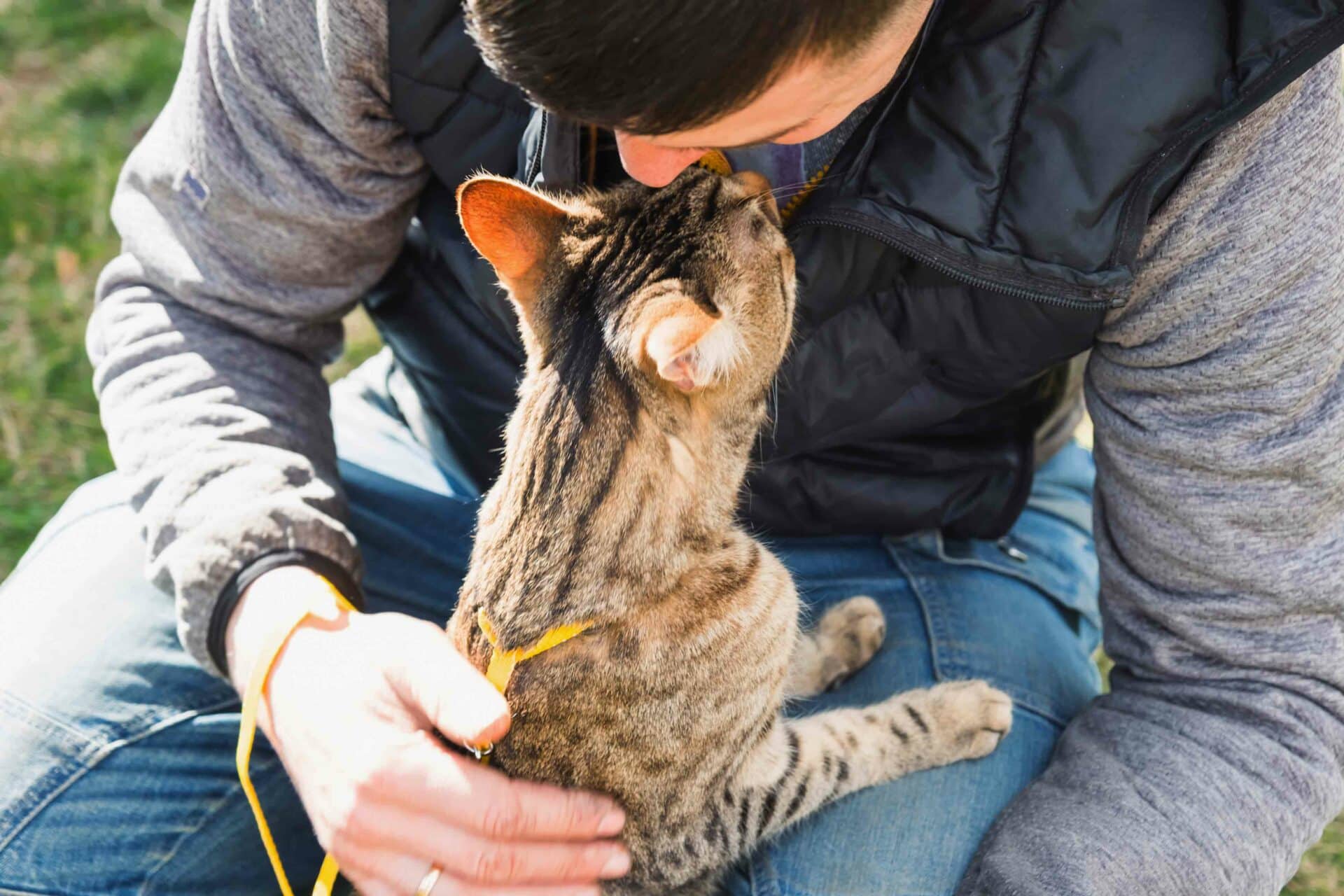 Taking Care of Your Feline: How Regular Veterinary Visits Can Improve Your Cat’s Life