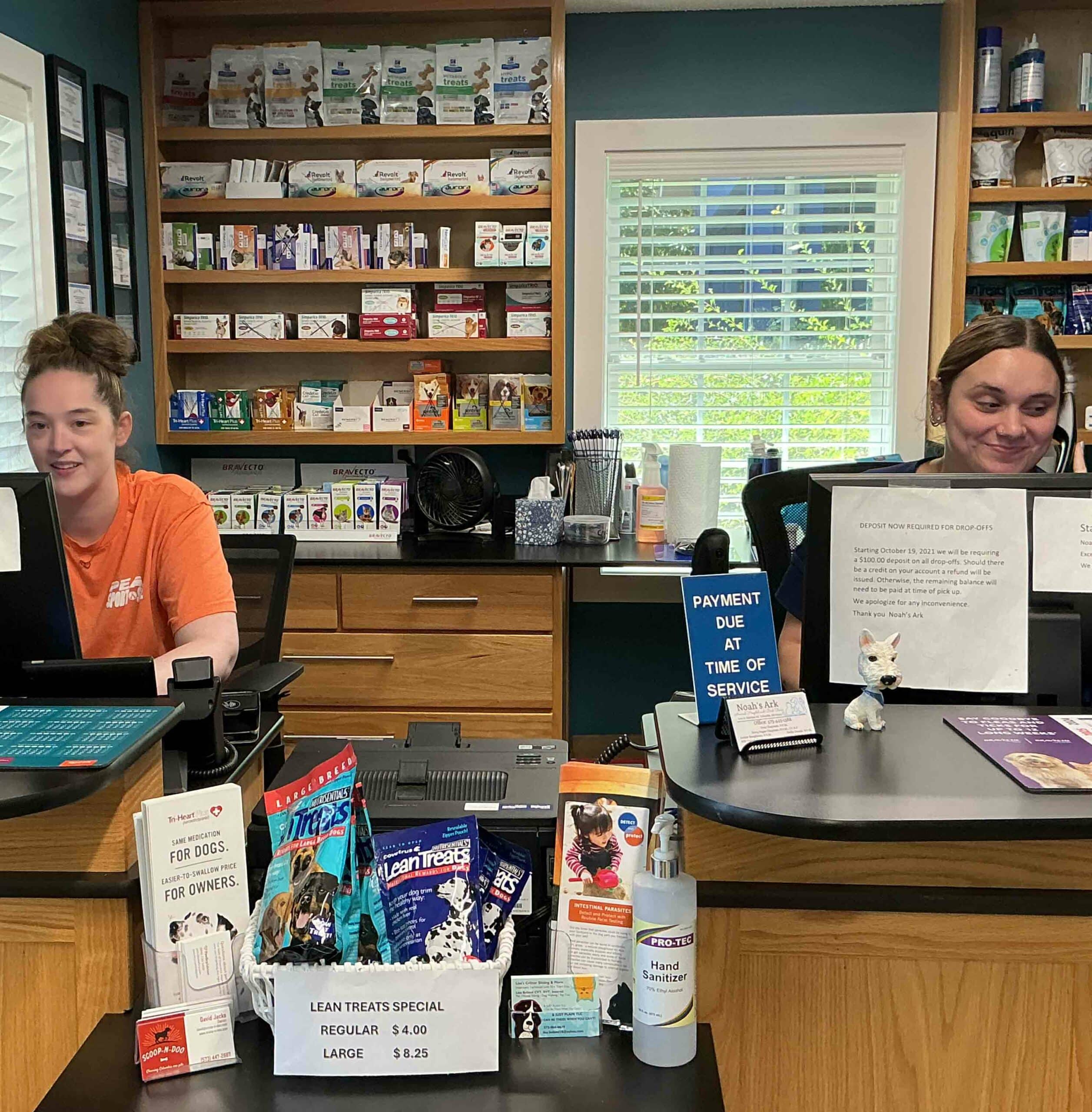 Team Member Name Here