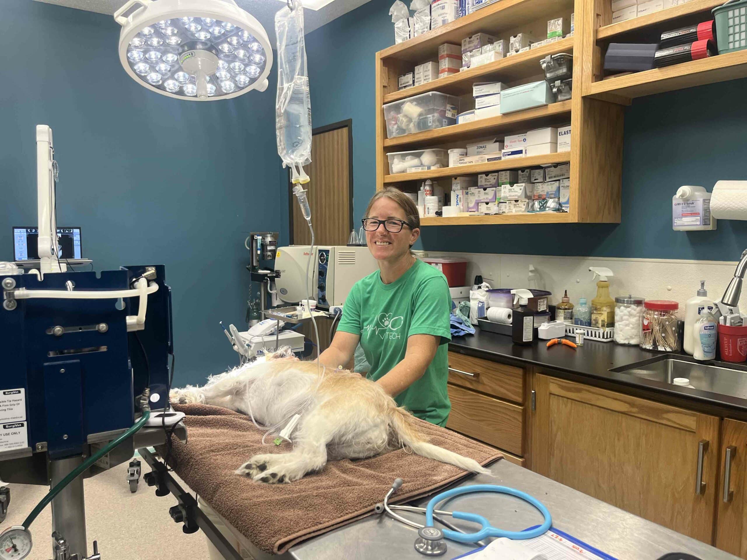 Team Member Name Here